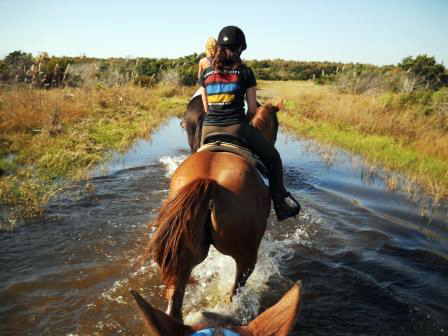 Outer Banks Horse Riding